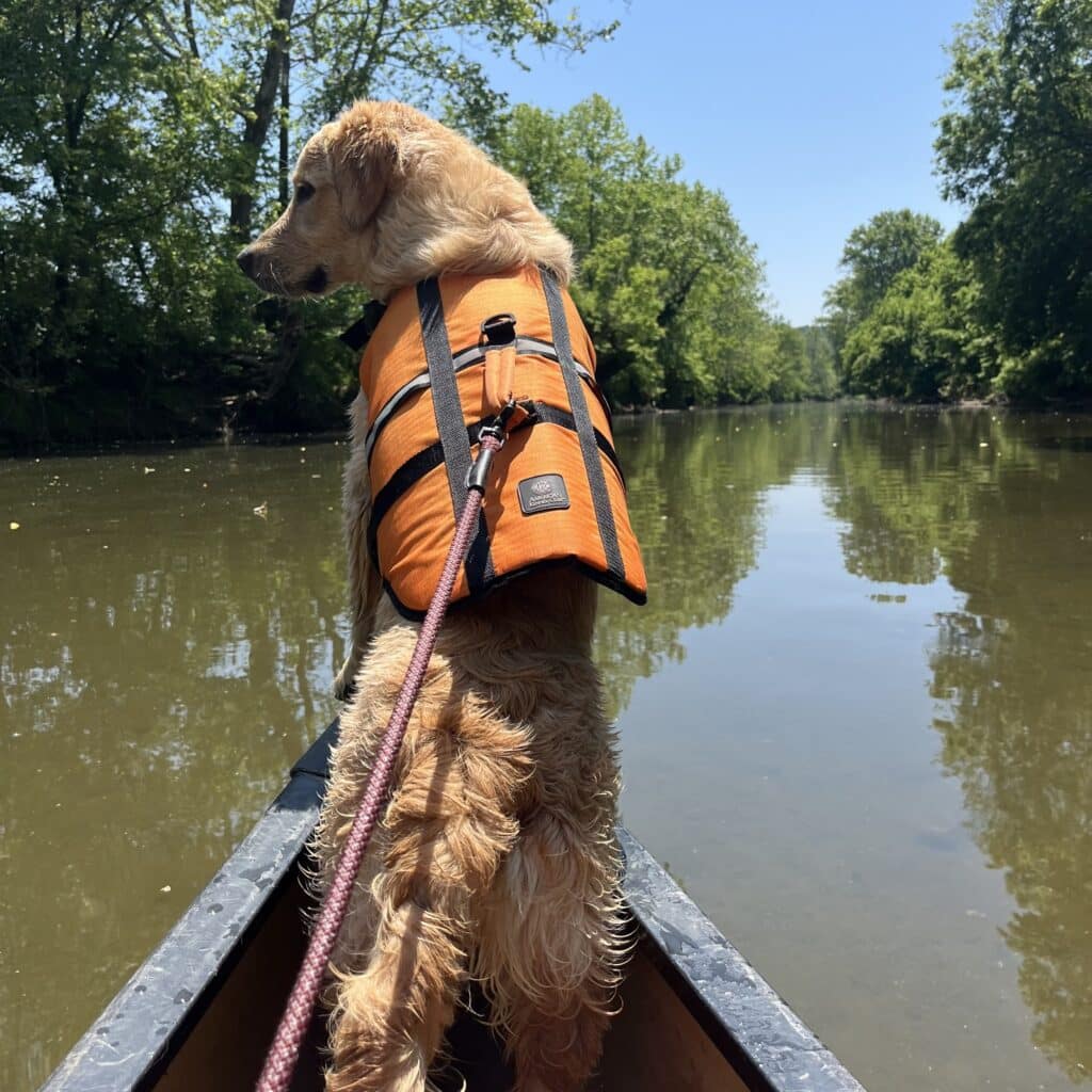 Hocking Hills Canoe Livery Dog